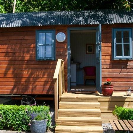 Hotel Hawthorn Hut Kilkenny Glamping At Jenkinstown House Jenkinstown Park Exteriér fotografie