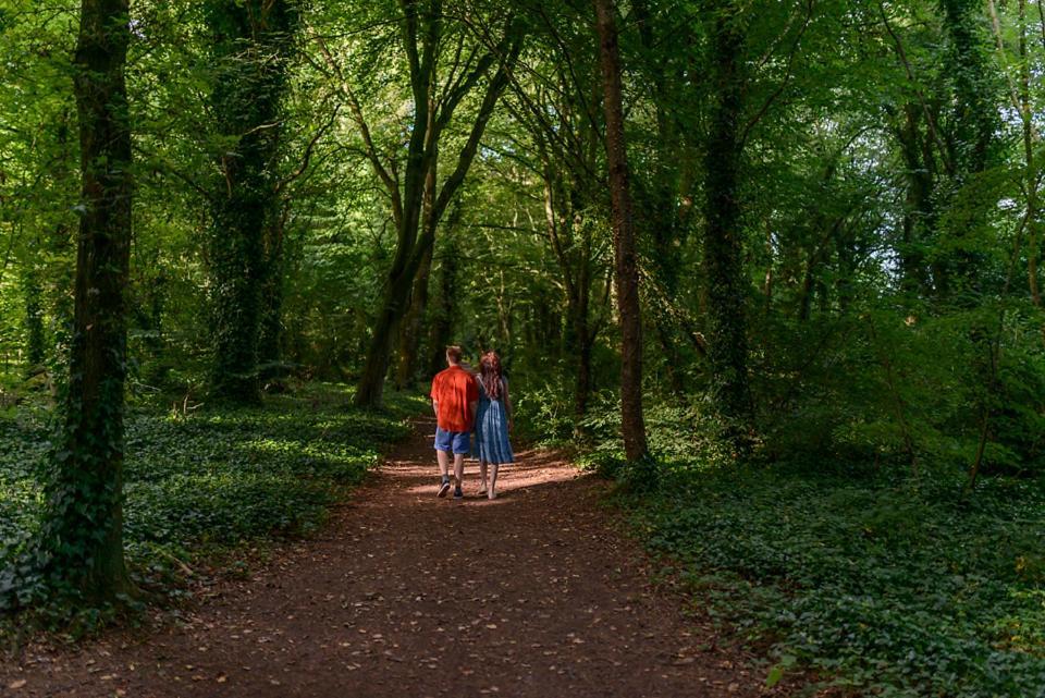 Hotel Hawthorn Hut Kilkenny Glamping At Jenkinstown House Jenkinstown Park Exteriér fotografie